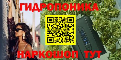 прущие грибы Донецк