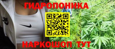 прущие грибы Донецк