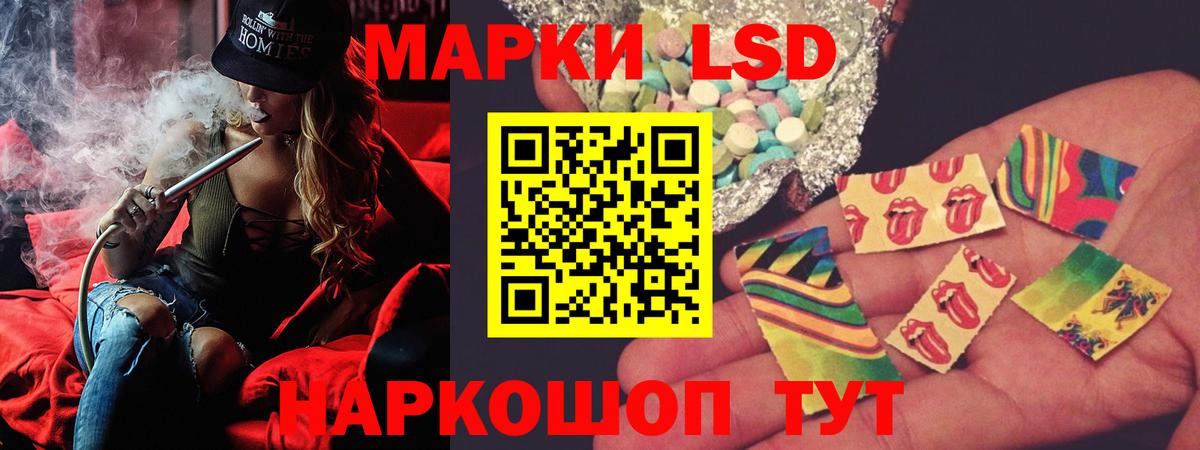 А ПВП Ливны