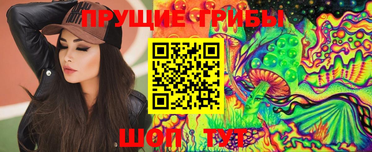 купить  сайты  Вход с VPN  Ливны  Галлюциногенные грибы GOLDEN TEACHER 